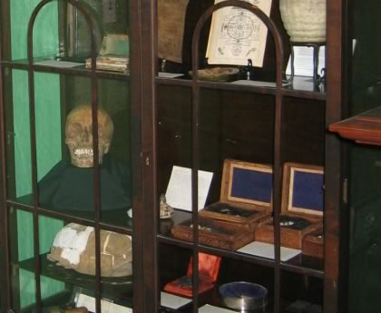 Museum Curiosa